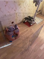 WhatsApp Image 2020-11-17 at 12.43.05